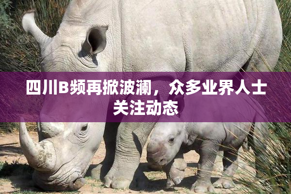 四川B频再掀波澜，众多业界人士关注动态