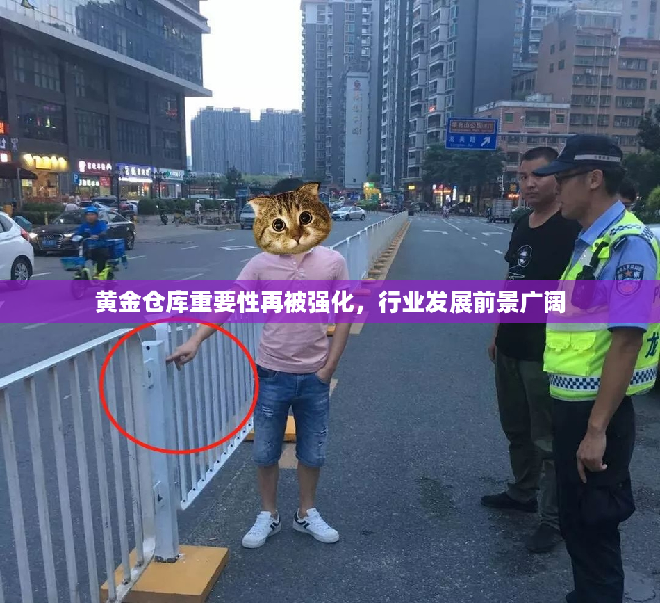 黄金仓库重要性再被强化，行业发展前景广阔