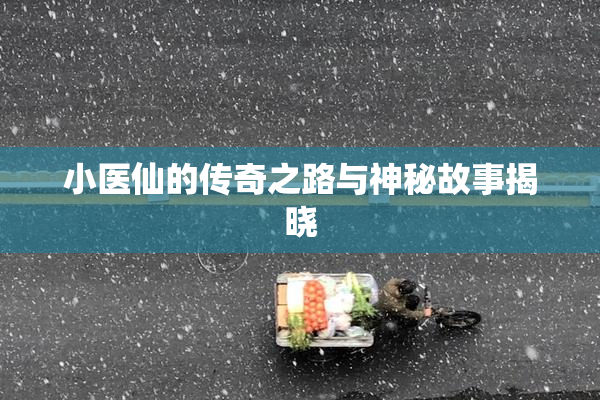小医仙的传奇之路与神秘故事揭晓
