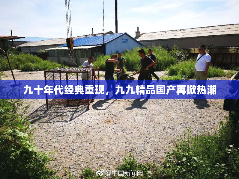 九十年代经典重现，九九精品国产再掀热潮