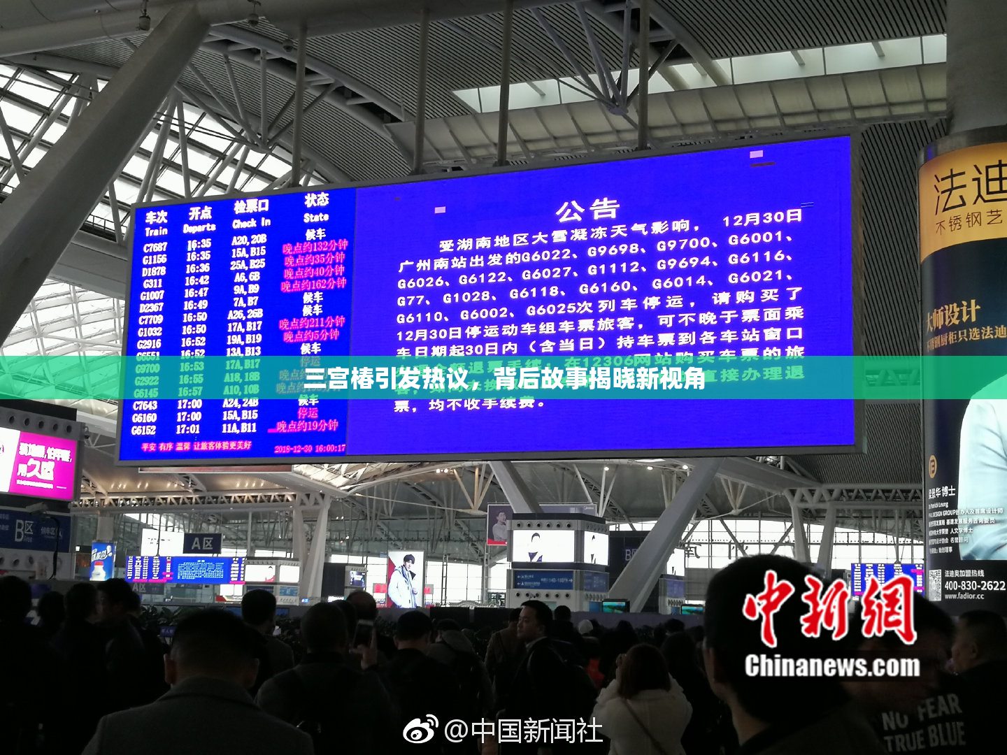 三宫椿引发热议，背后故事揭晓新视角