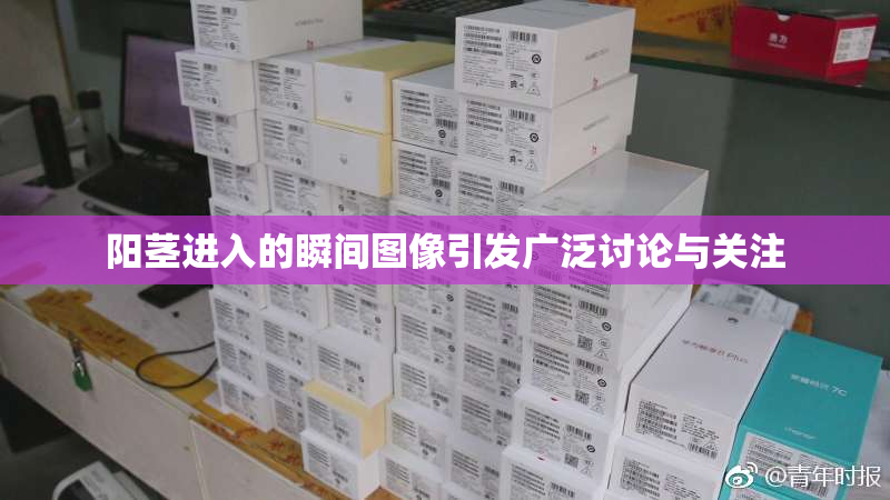 阳茎进入的瞬间图像引发广泛讨论与关注