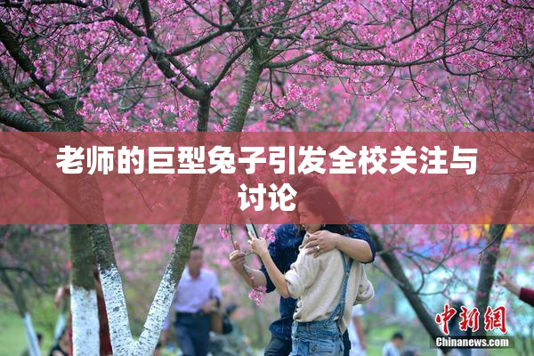 老师的巨型兔子引发全校关注与讨论