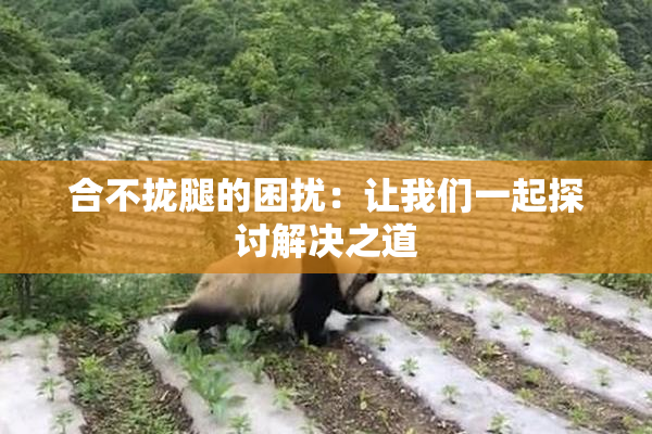 合不拢腿的困扰：让我们一起探讨解决之道