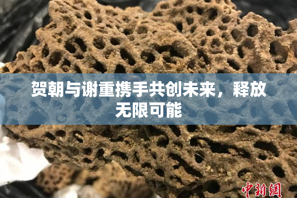 贺朝与谢重携手共创未来，释放无限可能
