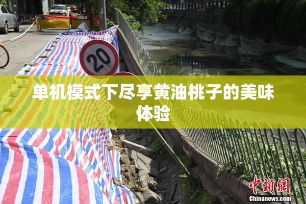 单机模式下尽享黄油桃子的美味体验
