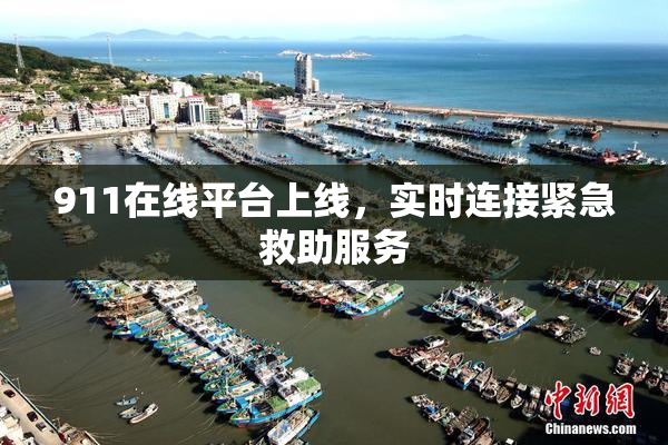 911在线平台上线，实时连接紧急救助服务
