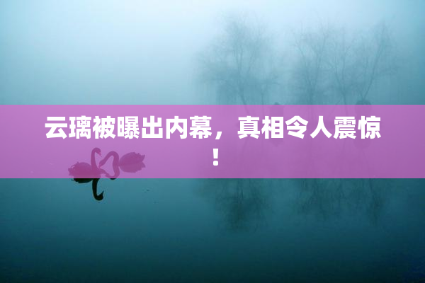 云璃被曝出内幕，真相令人震惊！