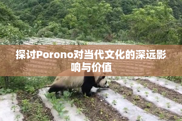 探讨Porono对当代文化的深远影响与价值
