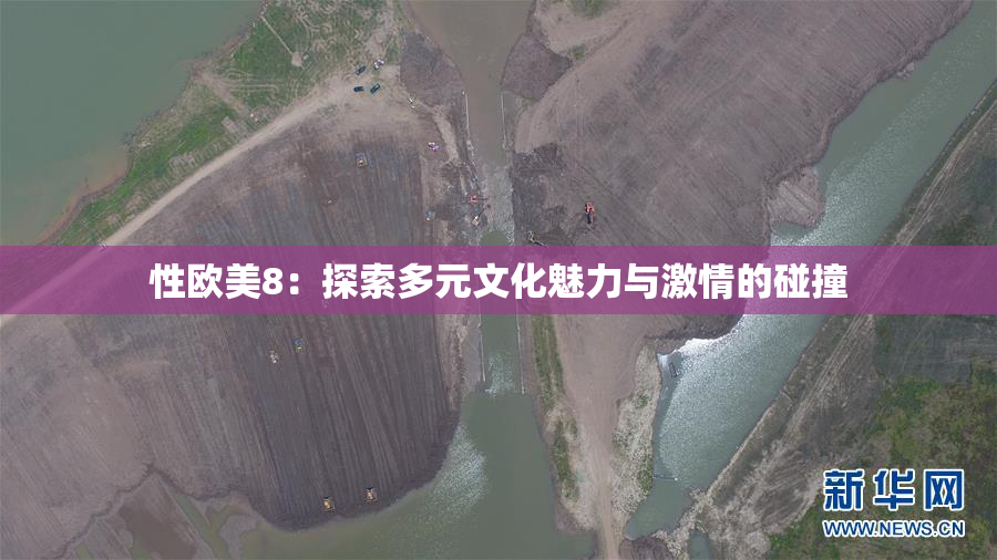 性欧美8：探索多元文化魅力与激情的碰撞