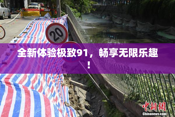 全新体验极致91，畅享无限乐趣！