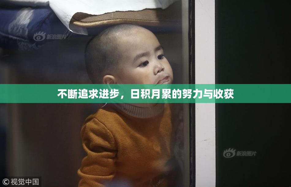 不断追求进步，日积月累的努力与收获