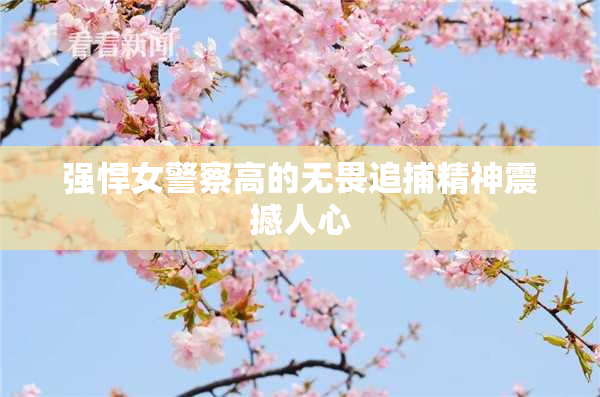 强悍女警察高的无畏追捕精神震撼人心