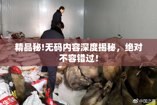 精品秘!无码内容深度揭秘，绝对不容错过！