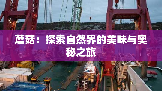 蘑菇：探索自然界的美味与奥秘之旅