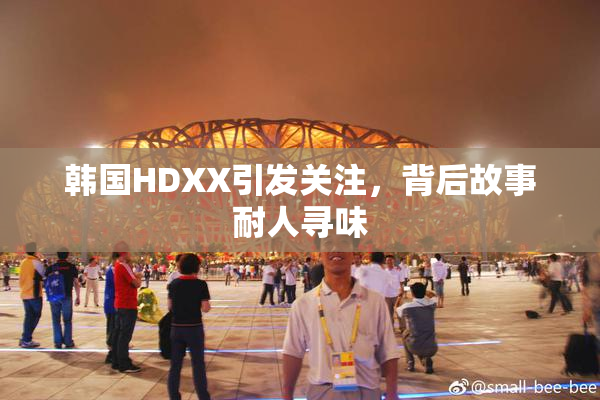 韩国HDXX引发关注，背后故事耐人寻味