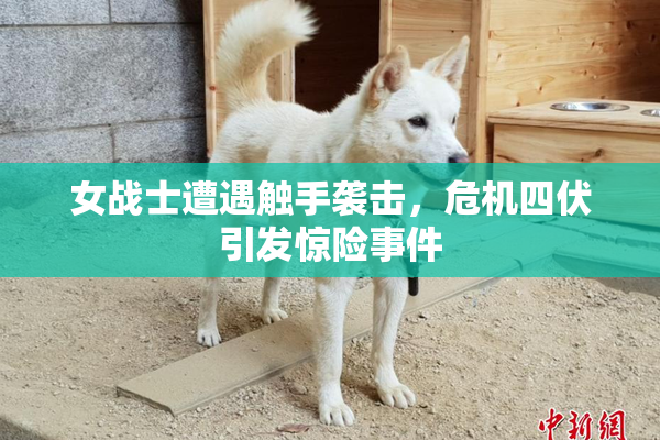 女战士遭遇触手袭击，危机四伏引发惊险事件