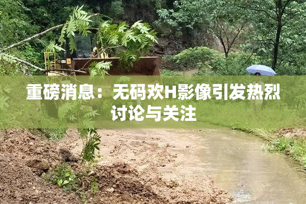 重磅消息：无码欢H影像引发热烈讨论与关注