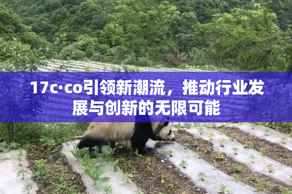 17c·co引领新潮流，推动行业发展与创新的无限可能