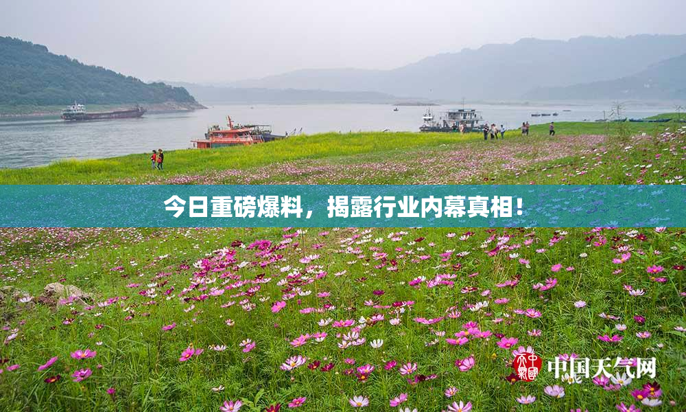 今日重磅爆料，揭露行业内幕真相！