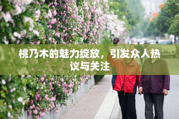 桃乃木的魅力绽放，引发众人热议与关注