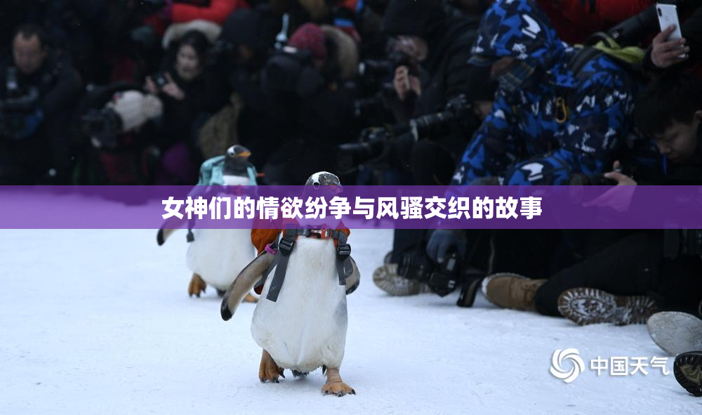 女神们的情欲纷争与风骚交织的故事