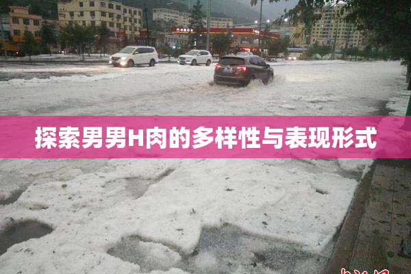 探索男男H肉的多样性与表现形式
