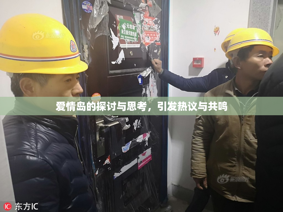 爱情岛的探讨与思考，引发热议与共鸣