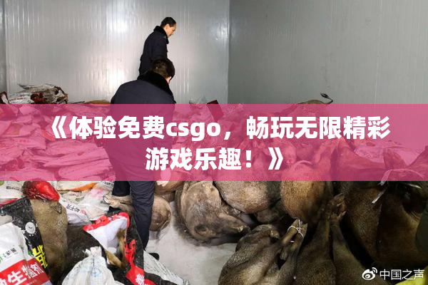 《体验免费csgo，畅玩无限精彩游戏乐趣！》