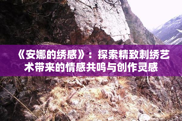 《安娜的绣感》：探索精致刺绣艺术带来的情感共鸣与创作灵感