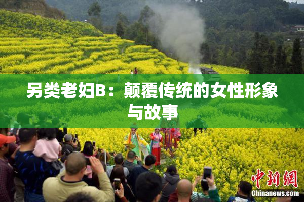 另类老妇B：颠覆传统的女性形象与故事