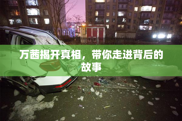 万茜揭开真相，带你走进背后的故事