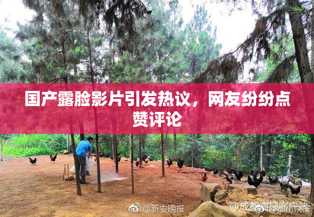 国产露脸影片引发热议，网友纷纷点赞评论