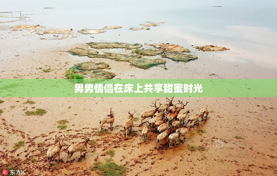 男男情侣在床上共享甜蜜时光