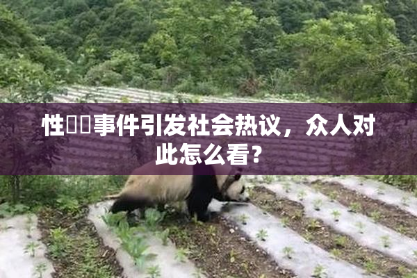 性亂倫事件引发社会热议，众人对此怎么看？