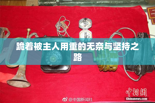 跪着被主人用重的无奈与坚持之路