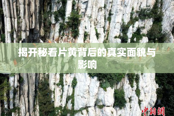 揭开秘看片黄背后的真实面貌与影响