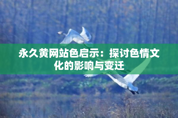 永久黄网站色启示：探讨色情文化的影响与变迁