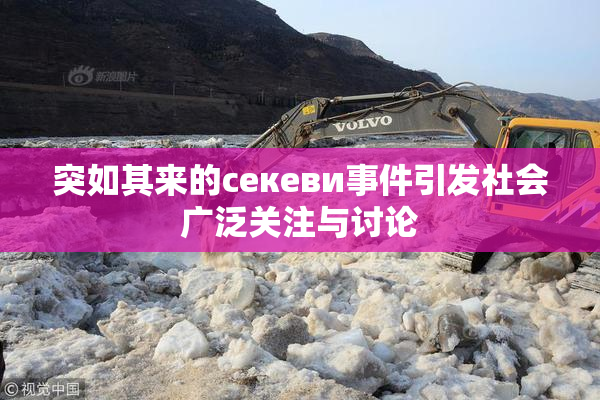 突如其来的ceкеви事件引发社会广泛关注与讨论