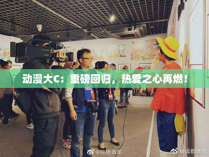 动漫大C：重磅回归，热爱之心再燃！
