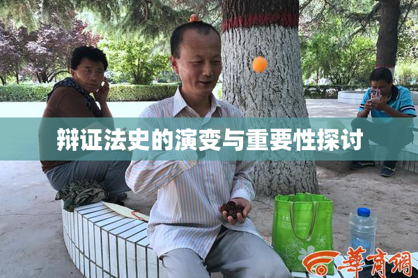 辩证法史的演变与重要性探讨
