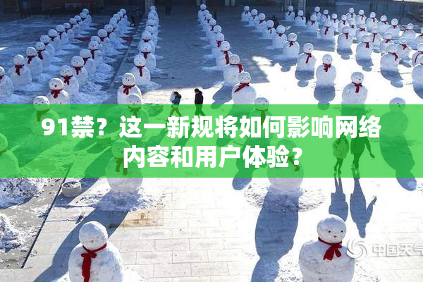 91禁？这一新规将如何影响网络内容和用户体验？