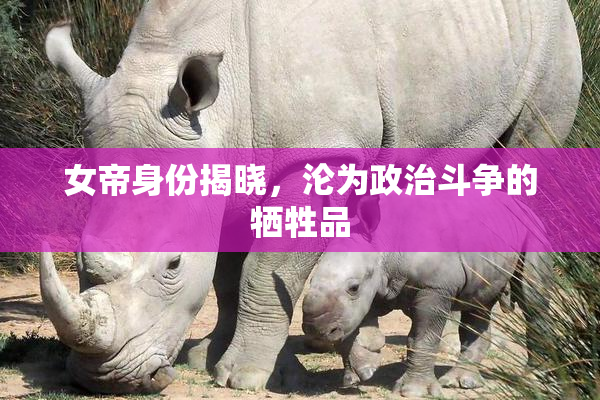 女帝身份揭晓，沦为政治斗争的牺牲品