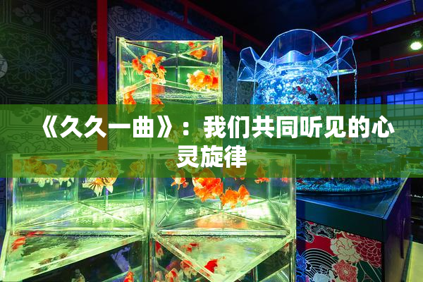 《久久一曲》：我们共同听见的心灵旋律