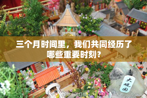 三个月时间里，我们共同经历了哪些重要时刻？