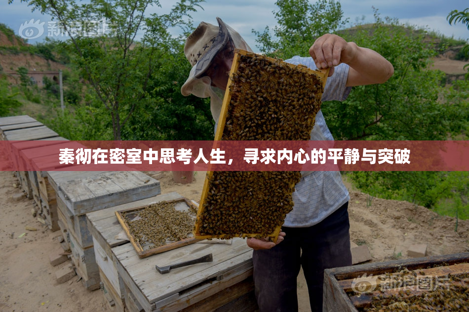 秦彻在密室中思考人生，寻求内心的平静与突破