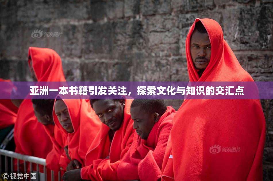 亚洲一本书籍引发关注，探索文化与知识的交汇点