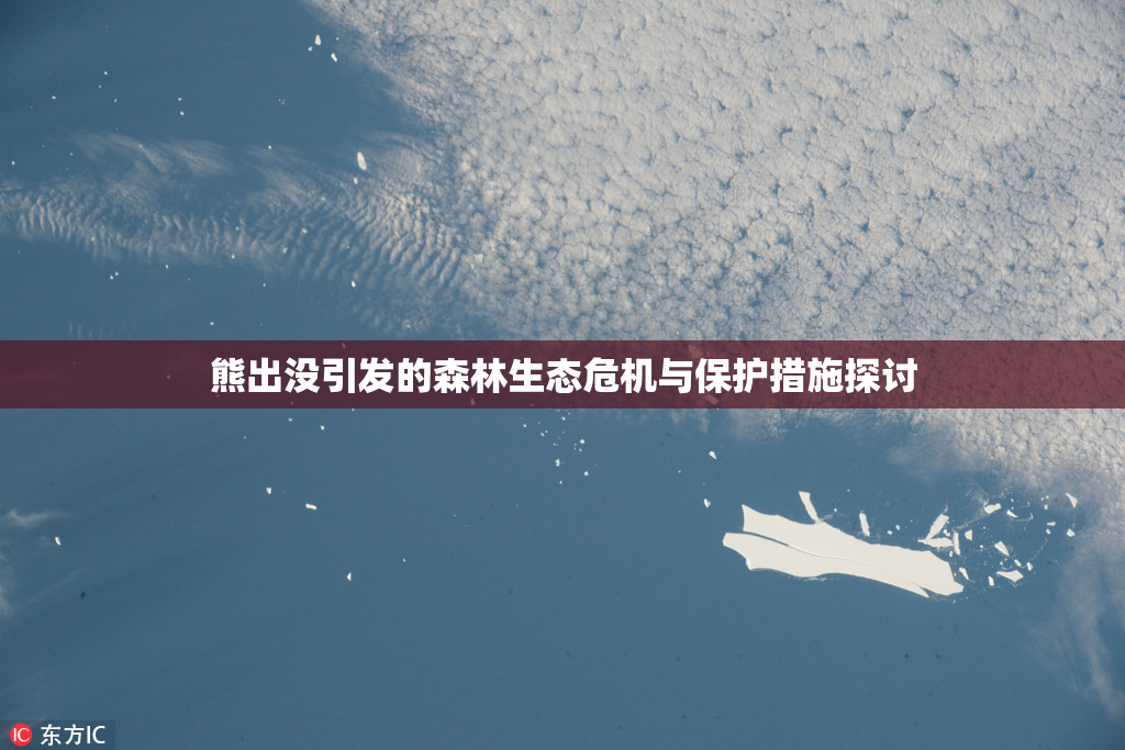 熊出没引发的森林生态危机与保护措施探讨
