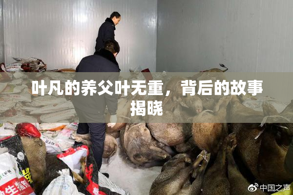 叶凡的养父叶无重，背后的故事揭晓