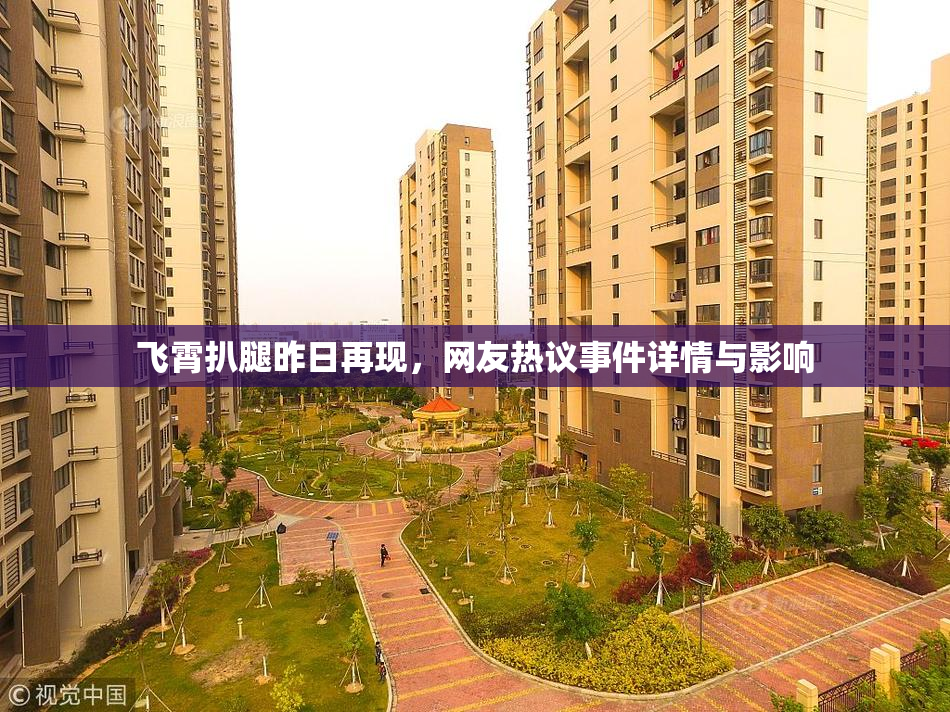 飞霄扒腿昨日再现，网友热议事件详情与影响
